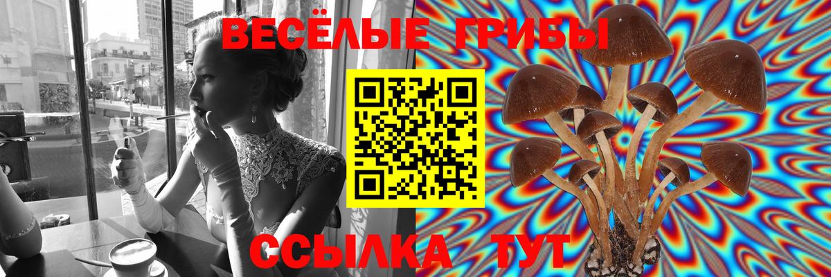 Псилоцибиновые грибы Psilocybine cubensis  Псилоцибиновые грибы MAGIC MUSHROOMS  Вход с VPN  Наро-Фоминск 